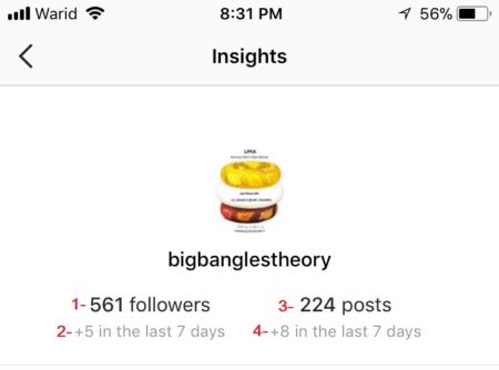 instagram-analytics-1 instagram-analytics-1