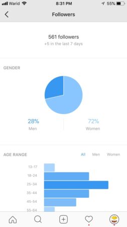 instagram-analytics-followers-insight-2