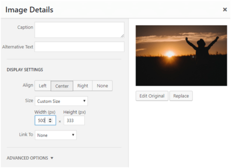 weblog image-resize image in WordPress
