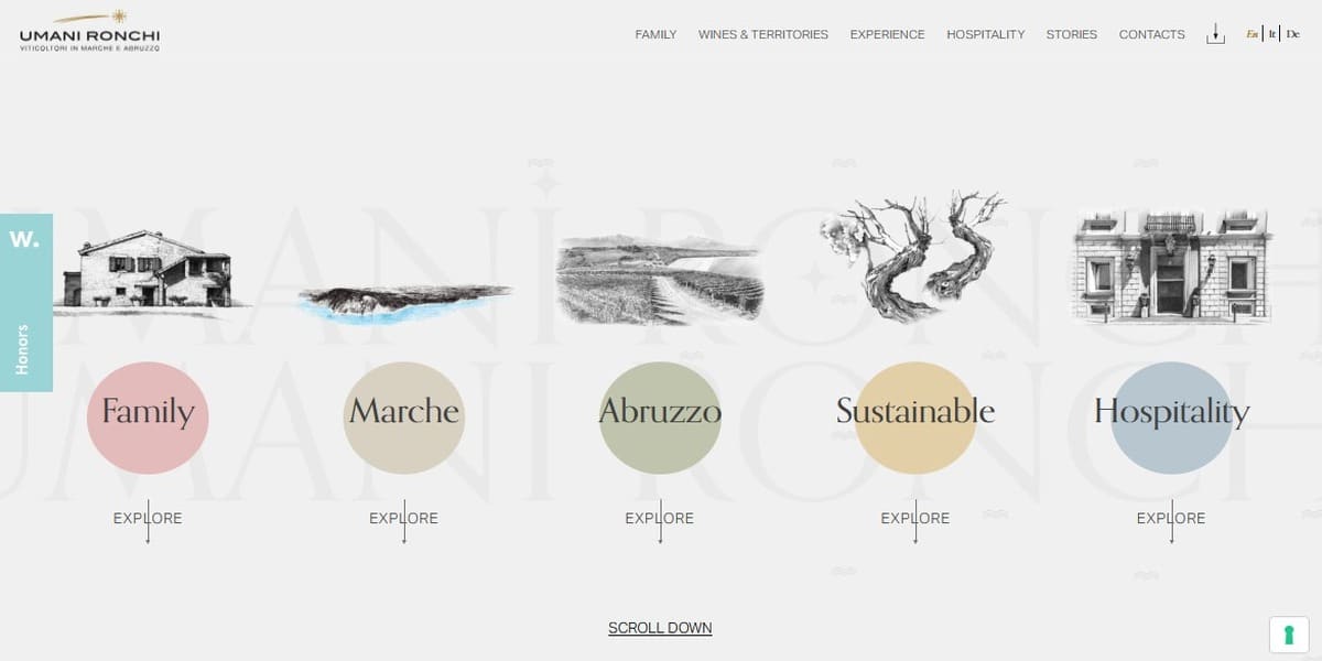 Modern Website Design
